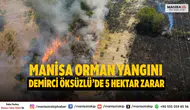 Manisa orman yangını: Demirci Öksüzlü'de 5 hektar zarar gördü