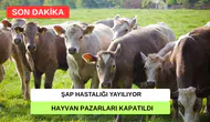 Şap Hastalığı Türkiye'yi Sardı: Tüm Hayvan Pazarları Kapatıldı