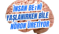 İnsan Beyni Yaşlanırken Bile Nöron Üretiyor