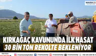 Kırkağaç kavununda ilk hasat 30 bin ton rekolte bekleniyor