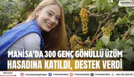 Manisa’da 300 genç gönüllü üzüm hasadına katıldı, destek verdi