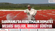 Saruhanlı’da kurutmalık domates mesaisi başladı, ihracat sürüyor