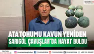 Ata tohumu kavun yeniden Sarıgöl Çavuşlar’da hayat buldu