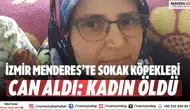 İzmir Menderes’te sokak köpekleri can aldı: Kadın öldü