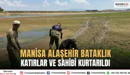 Manisa Alaşehir Bataklık Katırlar ve Sahibi Kurtarıldı