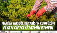 Manisa Sarıgöl’de TARİŞ’in Kuru Üzüm Fiyatı Çiftçiyi Tatmin Etmedi