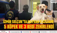 İzmir Selçuk’ta Hayvan Katliamı: 5 Köpek ve 3 Kedi Zehirlendi