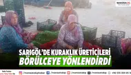 Sarıgöl’de Kuraklık Üreticileri Börülceye Yönlendirdi