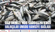 Ege Denizi’nde sardalya krizi Balıkçılar umudu hamsiye bağladı
