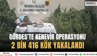 Gördes’te Yasa Dışı Kenevir Operasyonu: 2 Bin 416 Kök Ele Geçirildi