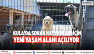 Kula’da sokak hayvanları için yeni yaşam alanı açılıyor