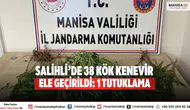 Salihli’de 38 Kök Kenevir Ele Geçirildi: 1 Tutuklama