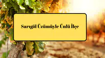 Sarıgöl Üzümüyle Ünlü İlçe
