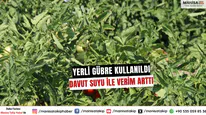 Yerli Gübre ve Davut Suyu İle Verim Arttı