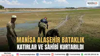 Manisa Alaşehir Bataklık Katırlar ve Sahibi Kurtarıldı