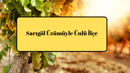 Sarıgöl Üzümüyle Ünlü İlçe