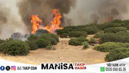 Manisa'nın Kula İlçesinde Makilik Alanda Yangın