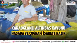 Manisa Karaoğlanlı Altınbaş Kavunu Hasadı Başladı, Coğrafi İşaret İçin Çalışmalar Sürüyor