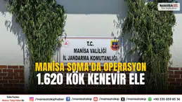 Manisa Soma’da Jandarmadan 1.620 Kök Kenevir Operasyonu