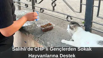 Salihli'de CHP'li Gençlerden Sokak Hayvanlarına Destek