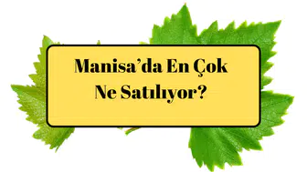 Manisa En Çok Ne Satılıyor?
