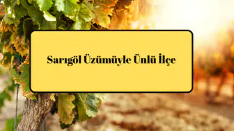 Sarıgöl Üzümüyle Ünlü İlçe