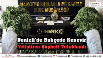 Denizli’de Bahçede Kenevir Yetiştiren Şüpheli Tutuklandı