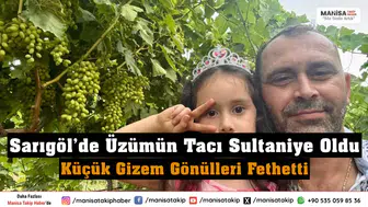 Sarıgöl’de Üzümün Tacı Sultaniye Oldu Küçük Gizem Gönülleri Fethetti