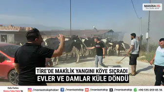 Tire’de Makilik Yangını Köye Sıçradı Evler ve Damlar Küle Döndü