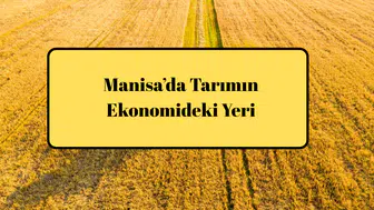 Manisa’da Tarımın Ekonomideki Yeri
