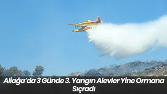Aliağa’da 3 Günde 3. Yangın: Alevler Yine Ormana Sıçradı