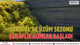 Sarıgöl’de 2025 yılı şaraplık üzüm alım sezonu resmen başladı