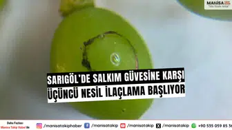 Sarıgöl’de Salkım Güvesine Karşı Üçüncü Nesil İlaçlama Başlıyor