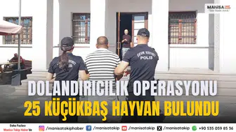 Manisa’da Bulundu Dolandırıcılık Operasyonu: 25 Küçükbaş Hayvan