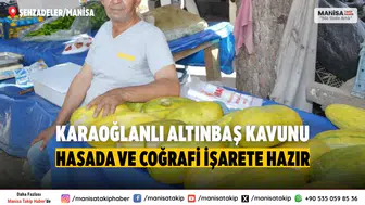 Manisa Karaoğlanlı Altınbaş Kavunu Hasadı Başladı, Coğrafi İşaret İçin Çalışmalar Sürüyor