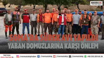 Soma’da sürek avı yapıldı Yaban domuzlarına karşı önlem