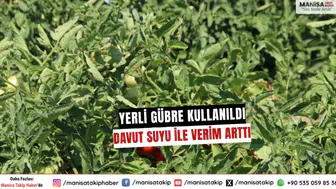 Yerli Gübre ve Davut Suyu İle Verim Arttı