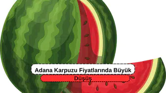 Adana Karpuzu Fiyatlarında Büyük Düşüş