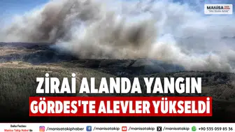 Zirai Alanda Yangın Gördes'te Alevler Yükseldi