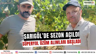 Sarıgöl’de Sezon Açıldı Süperyol Üzüm Alımları Başladı
