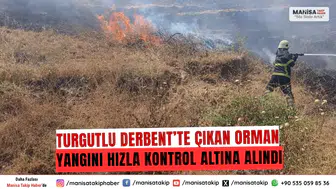 Turgutlu Derbent’te Çıkan Orman Yangını Hızla Kontrol Altına Alındı