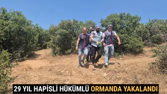 Denizli’de 29 Yıl Hapisli Hükümlü Ormanda Yakalandı