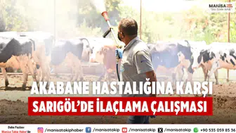 Akabane Hastalığına Karşı Sarıgöl’de İlaçlama Çalışması