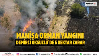 Manisa orman yangını: Demirci Öksüzlü'de 5 hektar zarar gördü
