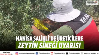 Manisa Salihli’de üreticilere zeytin sineği uyarısı