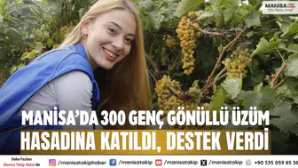 Manisa’da 300 genç gönüllü üzüm hasadına katıldı, destek verdi