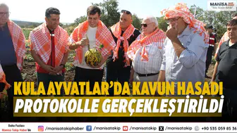 Kula Ayvatlar’da Kavun Hasadı Protokolle Gerçekleştirildi
