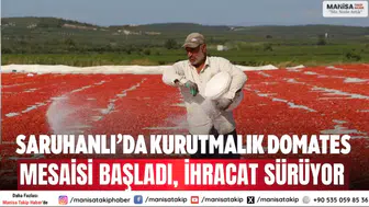 Saruhanlı’da kurutmalık domates mesaisi başladı, ihracat sürüyor