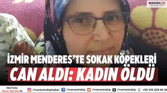 İzmir Menderes’te sokak köpekleri can aldı: Kadın öldü