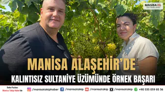 Manisa Alaşehir’de Kalıntısız Sultaniye Üzümünde Örnek Başarı